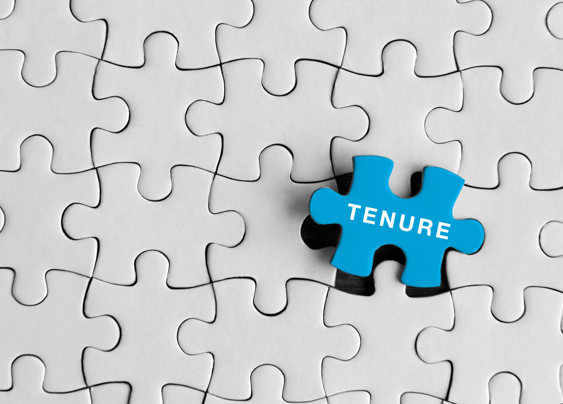 Puzzle with one piece that says tenure